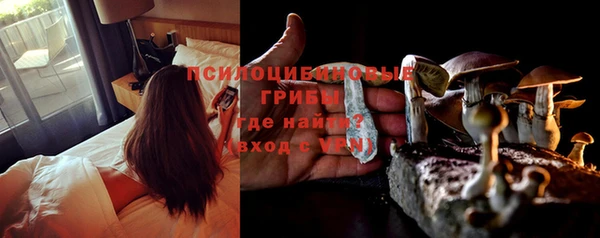 соль курить ск Богданович