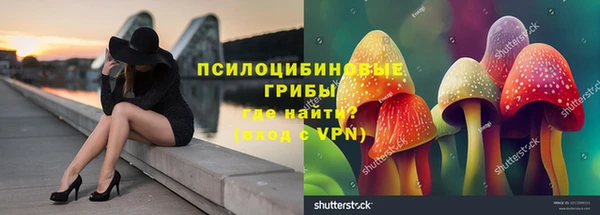 скорость mdpv Богородицк