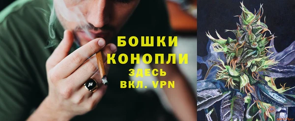 соль курить ск Богданович