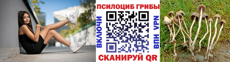 Галлюциногенные грибы MAGIC MUSHROOMS  Егорьевск 