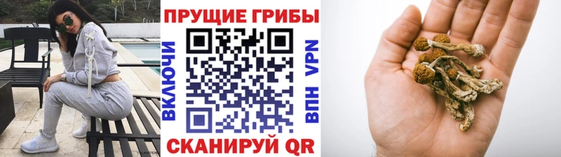 Псилоцибиновые грибы прущие грибы Егорьевск